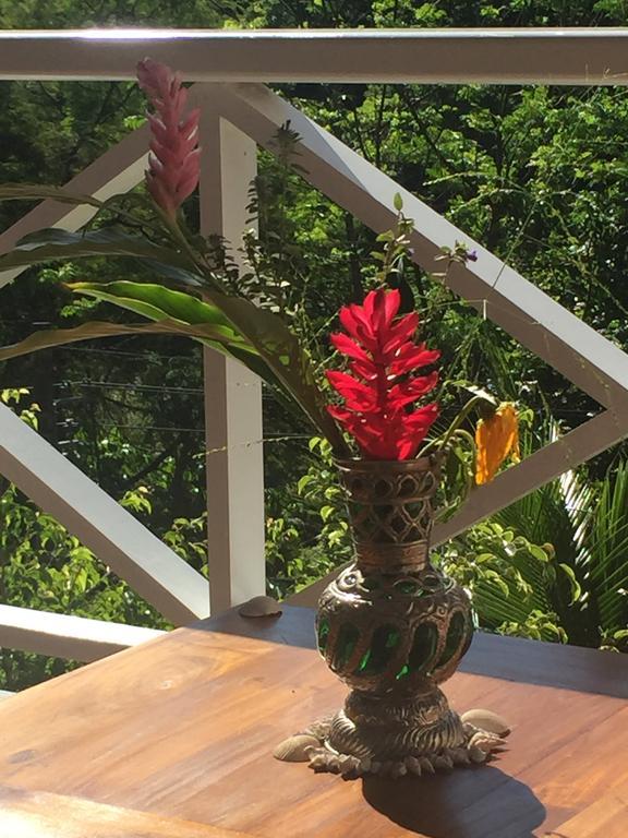 Casa Verde E Mar Angra dos Reis Dış mekan fotoğraf